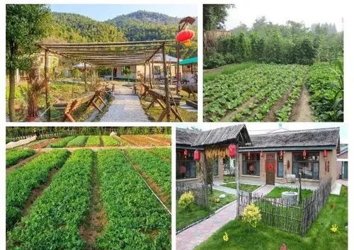 農業經營中的商標注冊與農業技術開發策略