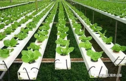 房山農業技術開發成果獲市級認證，成為北京市首批三地之一