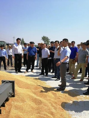秸稈“神器”驚現“中原糧倉”！王金富 好戲還在后頭