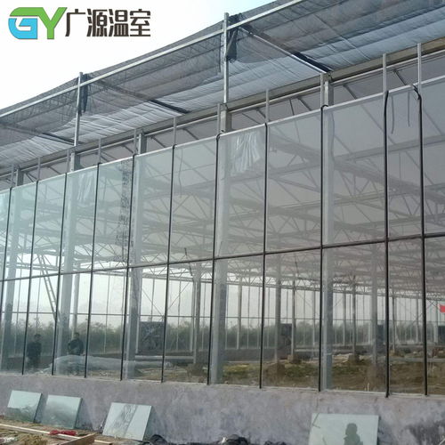 夏季溫室大棚遮陽(yáng)降溫關(guān)鍵技術(shù)要點(diǎn)解析