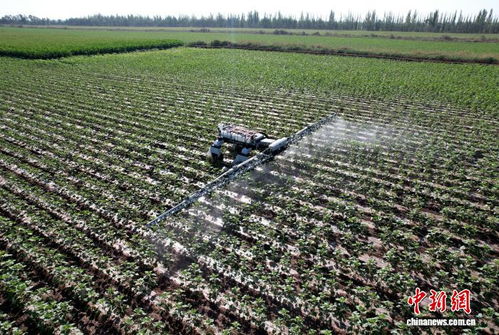 新疆兵團 新型機器人賦能農業發展，科技引領農業技術開發