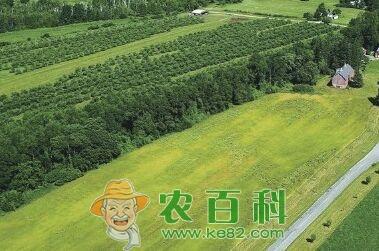 山東濱州高效生態(tài)農(nóng)業(yè)建設(shè) 農(nóng)業(yè)技術(shù)開(kāi)發(fā)引領(lǐng)綠色轉(zhuǎn)型