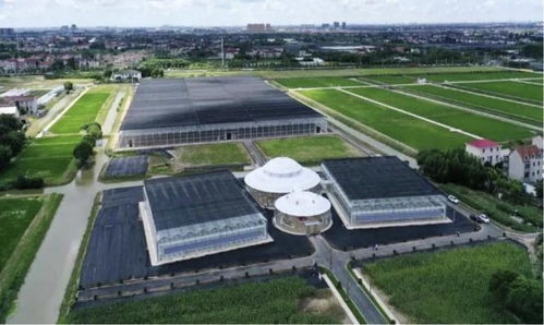 從農(nóng)場到農(nóng)廠 看這家企業(yè)如何用算法與農(nóng)業(yè)技術(shù)開發(fā)振興產(chǎn)業(yè)