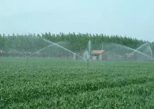 國家灌溉農業綠色發展聯盟成立 技術開發引領農業可持續轉型