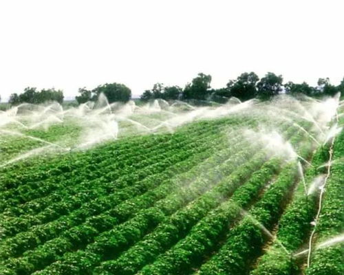 科技賦能，沃野新章 農業科技化與技術開發的融合創新