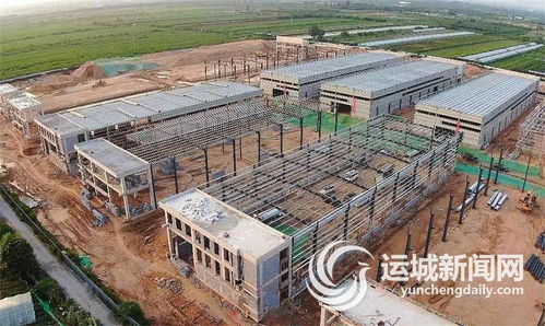 接續(xù)掀起項目建設(shè)新高潮 不斷夯實高質(zhì)量發(fā)展根基——以農(nóng)業(yè)技術(shù)開發(fā)為引領(lǐng)