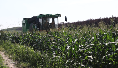 哈爾濱市平房鎮(zhèn) “三鏈”繪就鄉(xiāng)村振興新圖景，農(nóng)業(yè)技術(shù)開(kāi)發(fā)譜寫(xiě)“十四五”收官年田野新答卷