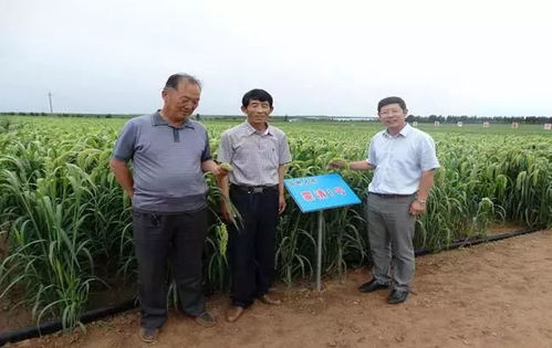 以民為本，以食為天，以安為先——蒙清農(nóng)業(yè)的科技興農(nóng)之路