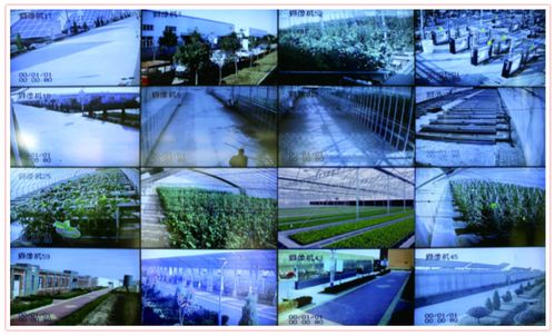 數(shù)字農(nóng)業(yè) 技術(shù)賦能下的農(nóng)業(yè)新生態(tài)